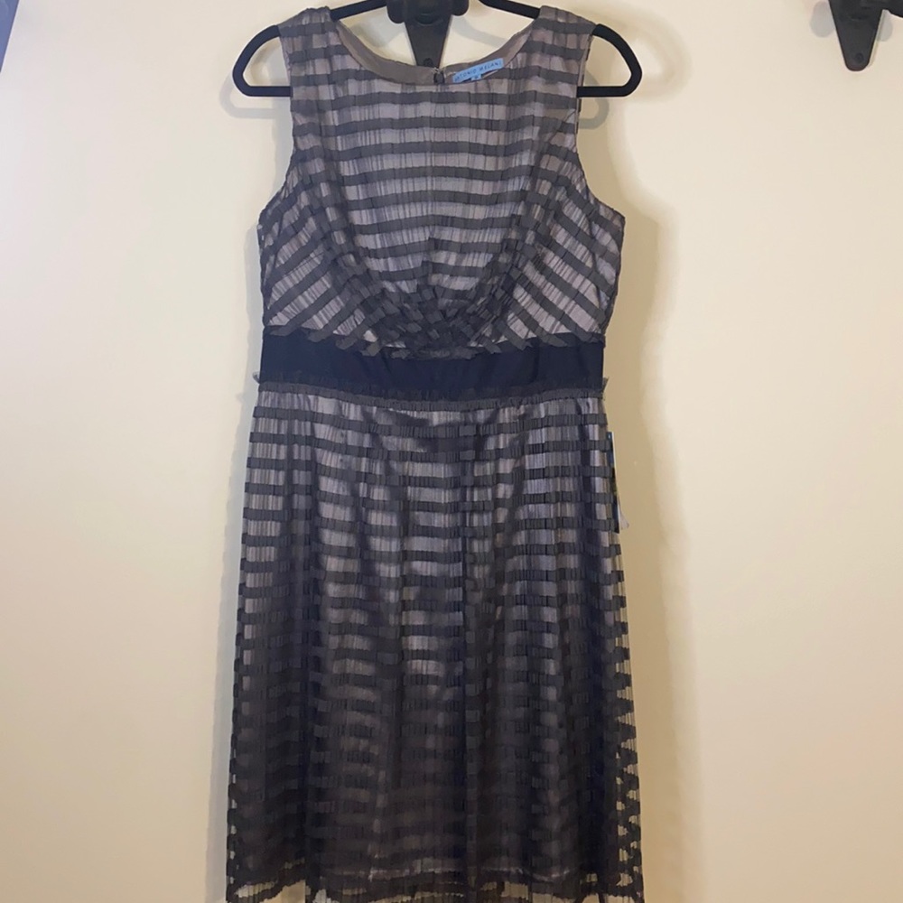 NEW!! Antonio Melani Ainsley Dress/ Fog (10)